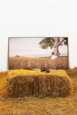 #THESCREENISNOTTHELIMIT