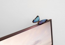 #THESCREENISNOTTHELIMIT