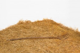 #THESCREENISNOTTHELIMIT