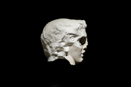 #THESCREENISNOTTHELIMIT